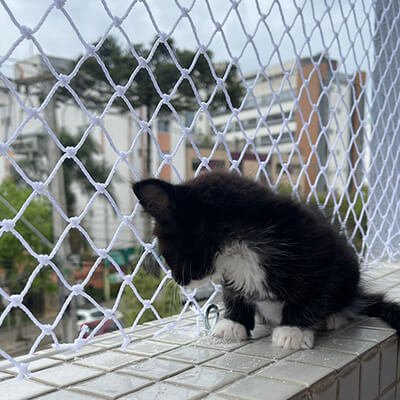 Redes de proteção para Pets